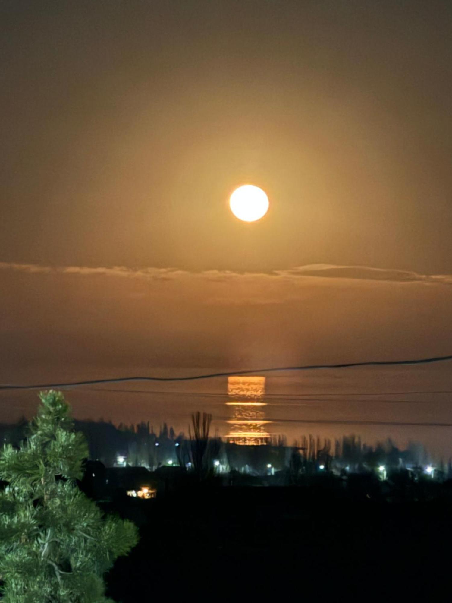 Best شولبون آتا المظهر الخارجي الصورة