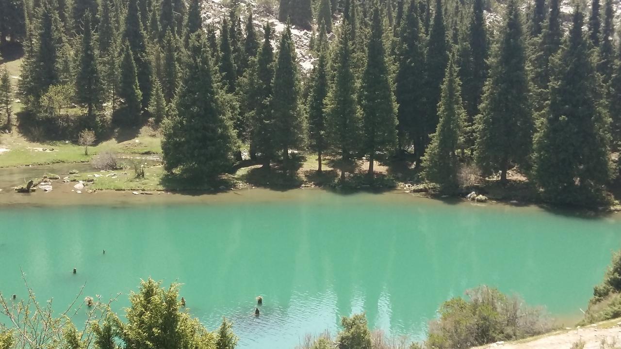 Best شولبون آتا المظهر الخارجي الصورة